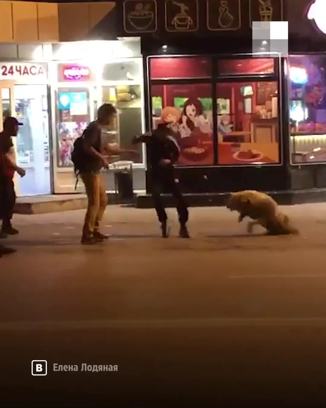 Появилось видео кровавых издевательств над алабаем в Волгограде - 1 июля  2023 - V1.ру