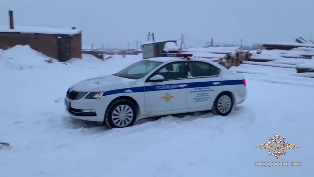 В Красноярском крае пресекли незаконные вырубки банды «черных лесорубов» -  19 февраля 2021 - НГС24.ру