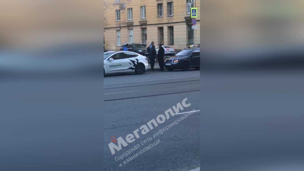 В Петербурге волонтеры спасли собаку, оставленную умирать под плитами на  Объездном шоссе — Мегаполис