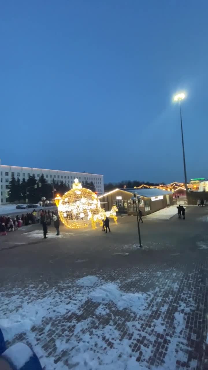 Жители подмосковной Коломны пожаловались на огромные очереди на каток:  видео, на Советской площади образовались огромные очереди на вход, людям  пришлось ждать на морозе, чтобы покататься на коньках - 1 января 2024 -  МСК1.ру