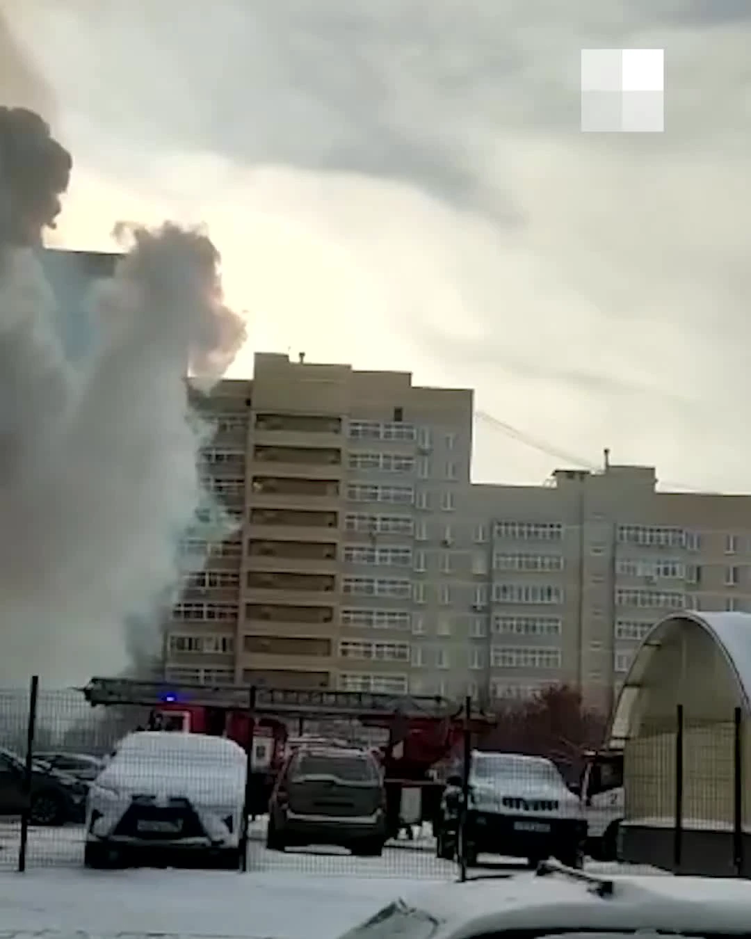 В Екатеринбурге в пожаре на Крауля погибли домашние животные 16 ноября 2022  г. - 16 ноября 2022 - Е1.ру