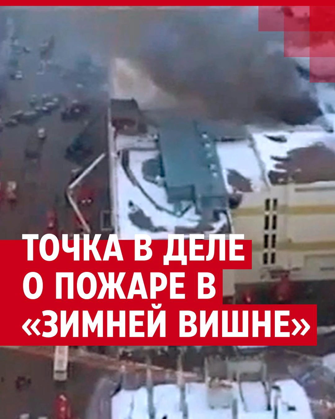 Зимняя вишня картинка