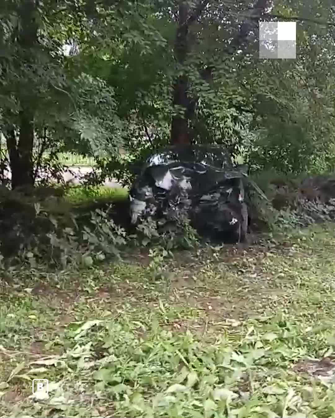 В Кировском районе Новосибирска автомобиль врезался в деревья - 13 августа  2023 - НГС.ру