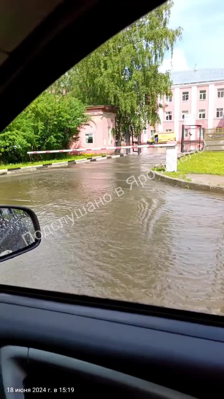 После грозы в Ярославле повалило деревья и подтопило улицы: фото и видео -  18 июня 2024 - 76.ру