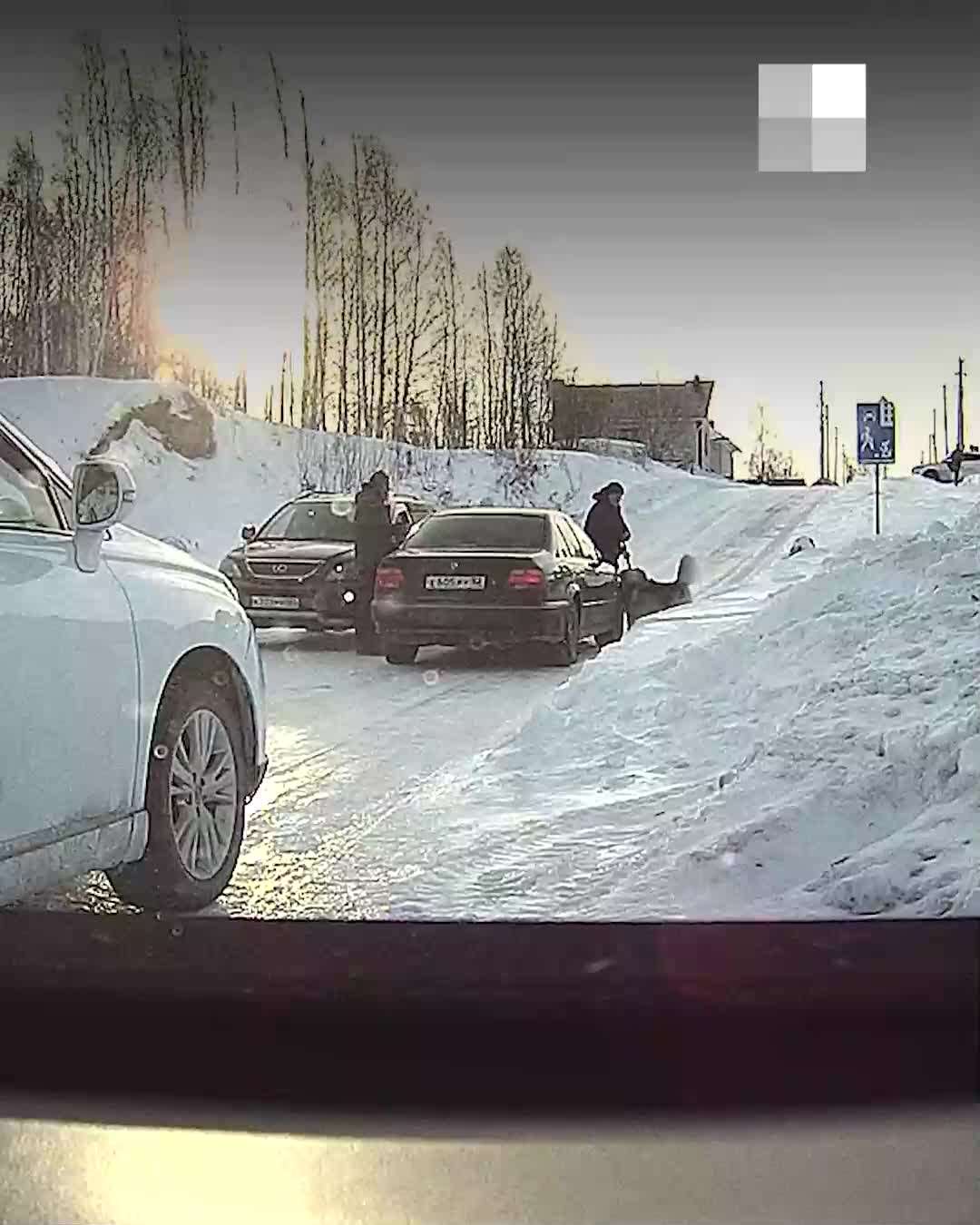 Нападение собаки на восьмилетнего мальчика в Кольцово попало на видео 9  января 2023 г. - 9 января 2023 - НГС.ру