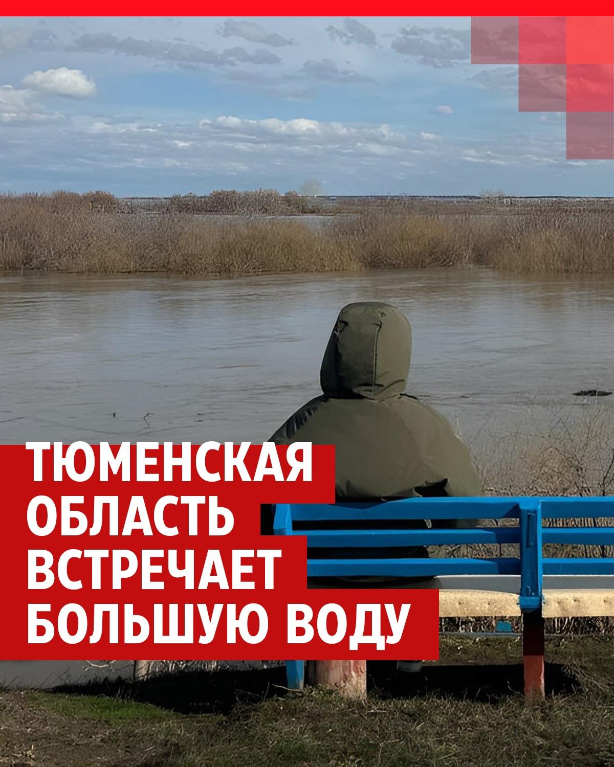 Эксклюзив: видео нападения моржихи на лодку экспедиции Северного флота и РГО - Новости РГО