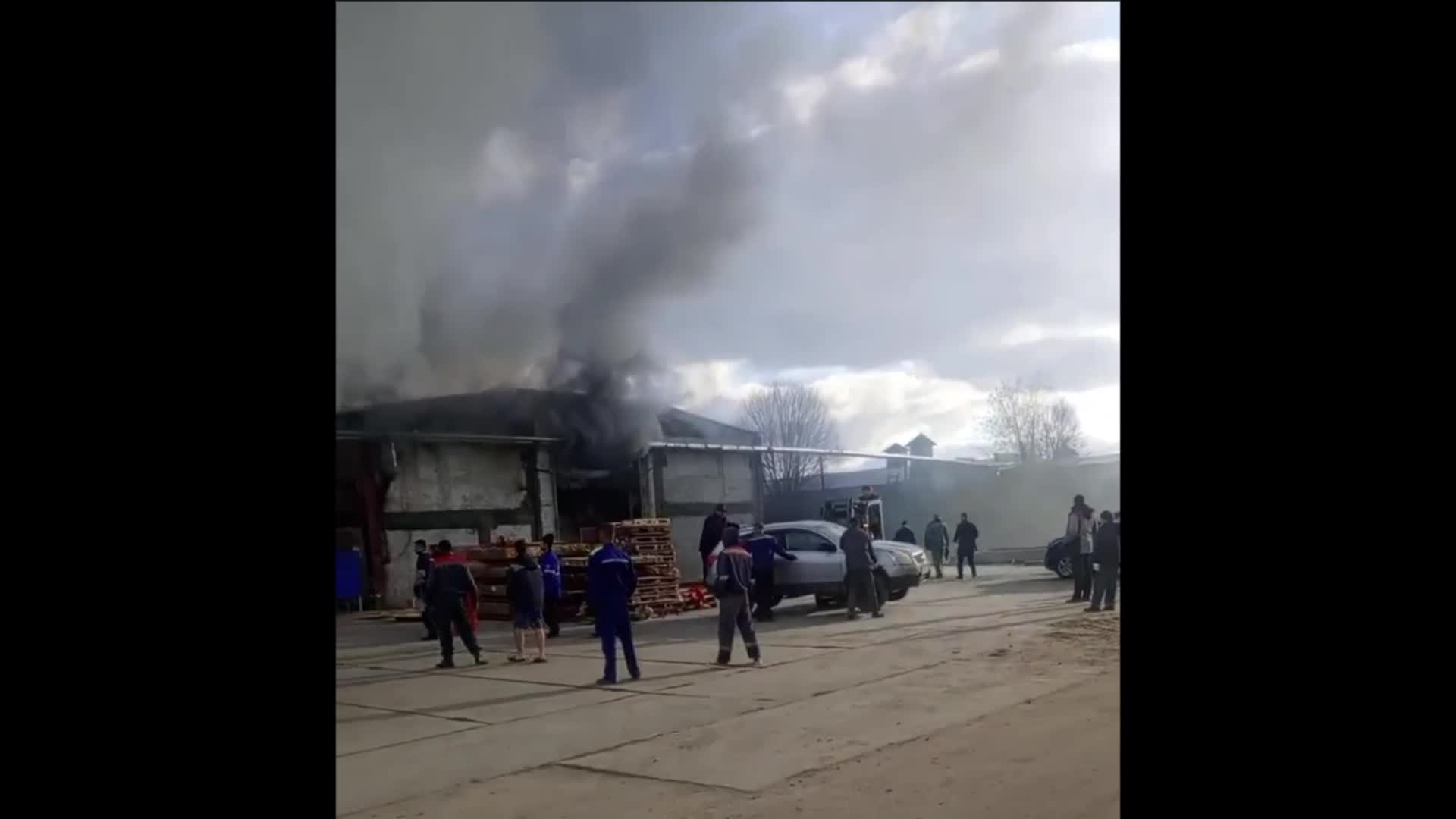 Один человек погиб в результате пожара на складе в поселке Тельмана в  Ленобласти - 24 октября 2023 - ФОНТАНКА.ру