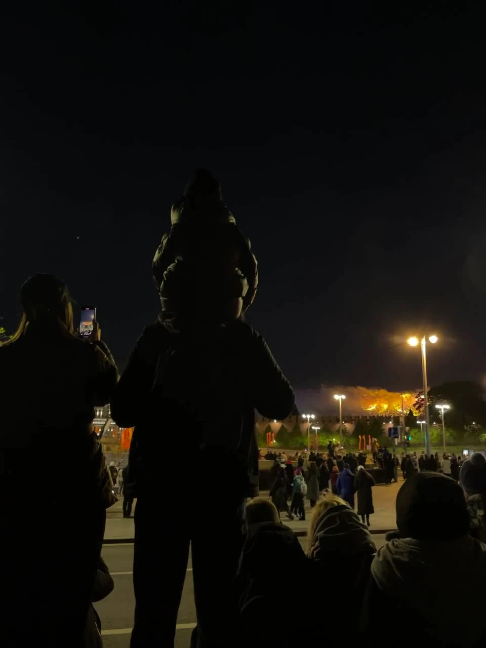 День Победы в Москве завершился праздничным салютом: фото и видео,  подробности, как прошел салют - 9 мая 2024 - МСК1.ру